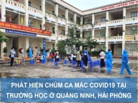 Phát hiện chùm ca mắc COVID 19 tại trường học ở Quảng Ninh và Hải Phòng